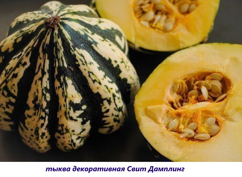 boulette sucrée décorative à la citrouille