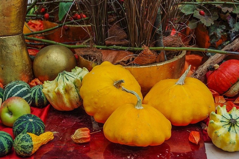 ¿Es posible comer calabaza decorativa?