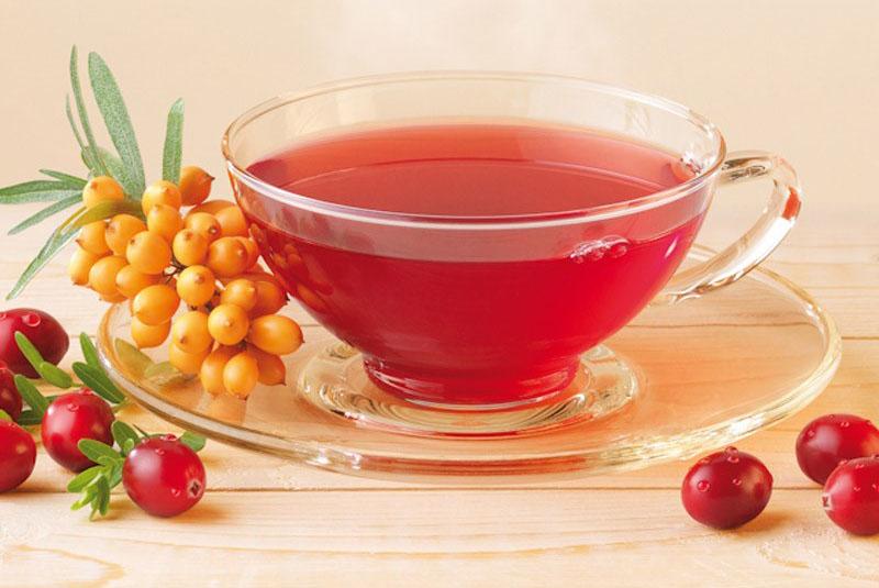 recettes pour faire des boissons à partir d'églantier