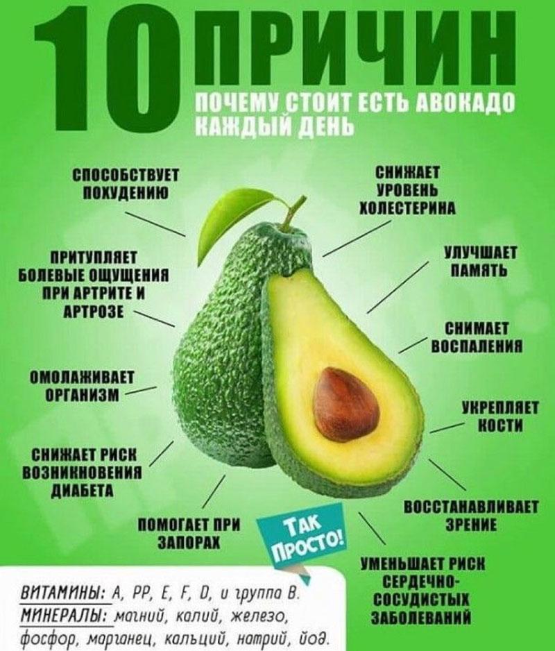 propiedades beneficiosas del aguacate