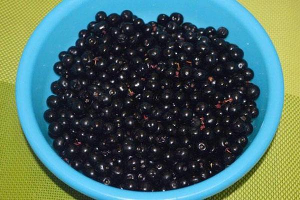 bayas de cereza