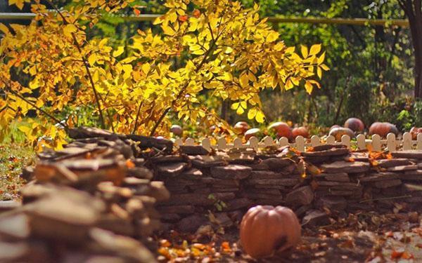 otoño en la cabaña de verano