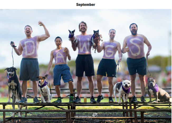 Foto přes Ricki BeasonTad bod (od L do R): Shane, Simon, Jason, Derrick, Jay Dog (od L do R): County Road s Astasia's Angels (se Shane), April s Rescue Row (se Simonem), Jensen s Astasia Angels and Sammy with Rescue Row (both with Jason), Buster with The Love Pit (with Derrick), Dozer with The Love Pit (with Jay)