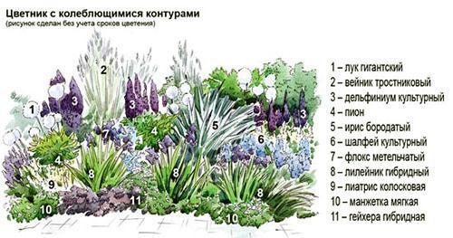 Jardin fleuri aux contours oscillants