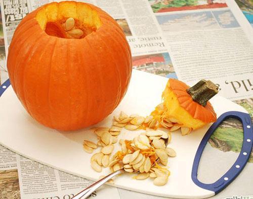 Les graines de citrouille sont particulièrement précieuses