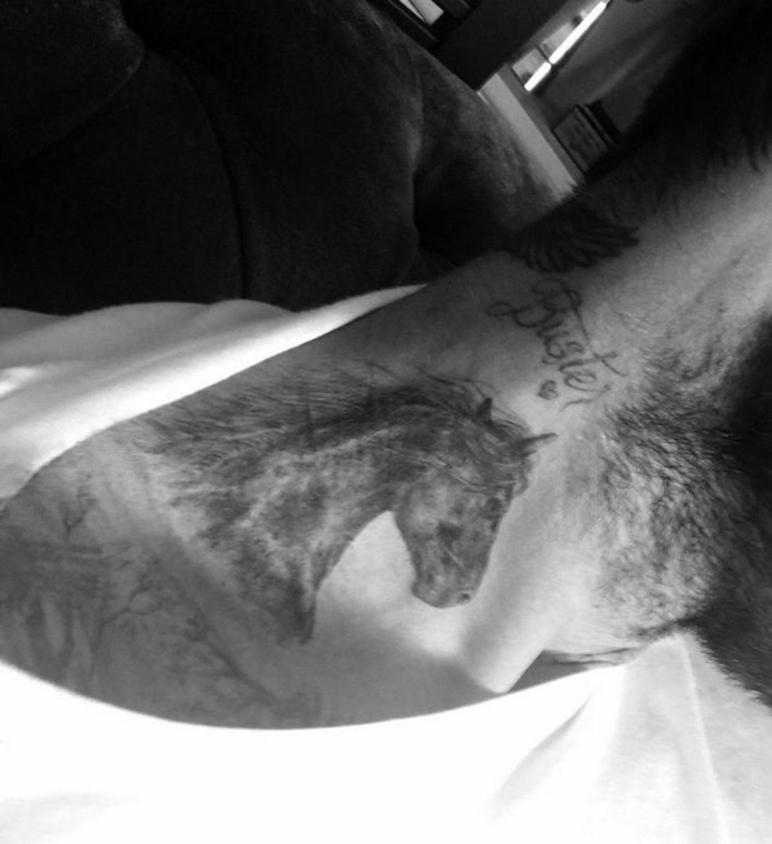 tetování koně Davida Beckhama