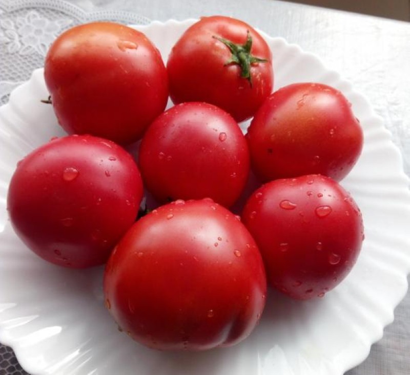 avantages et inconvénients de la tomate Demidov