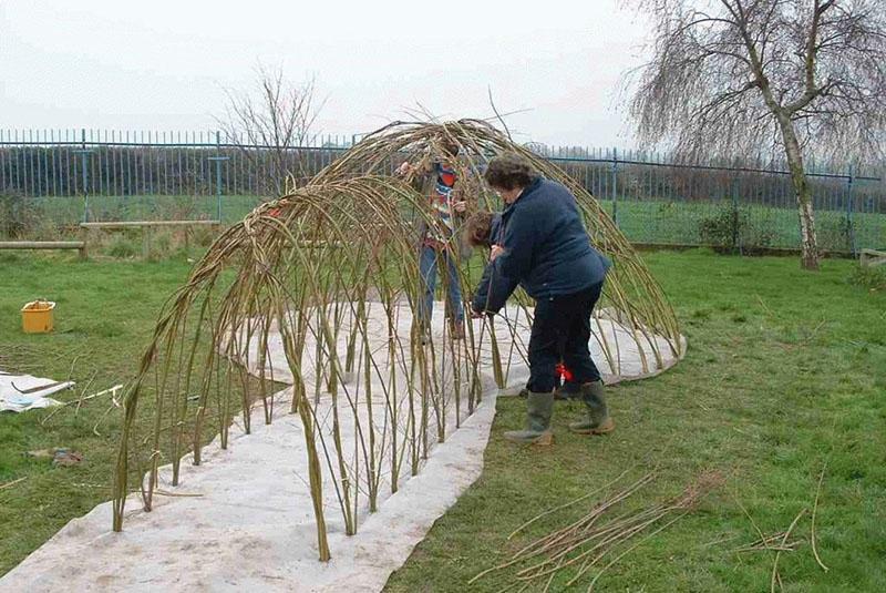 construcción de un invernadero a partir de ramitas.