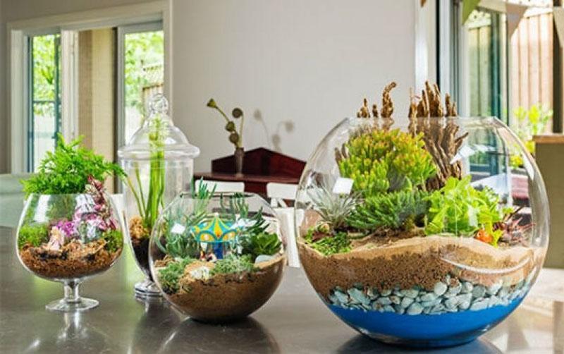 Florarium de bricolaje en la mesa