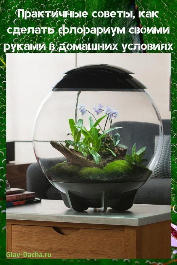 Florarium de bricolaje