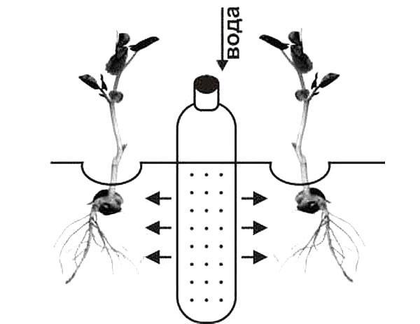 botella de agua empotrada