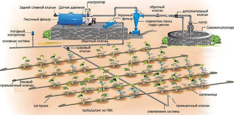 système d'irrigation goutte à goutte de bricolage