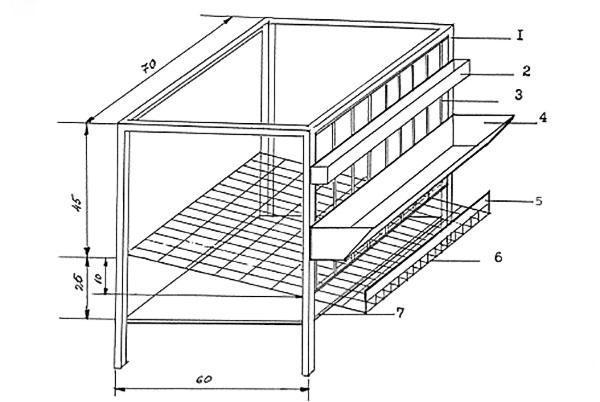 Dibujo de jaula de codorniz con dimensiones