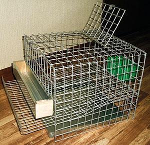 Cage à cailles prête