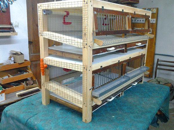 Cage à cailles à deux étages avec abreuvoirs à tétine