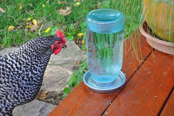 Recipiente para beber casero de una lata