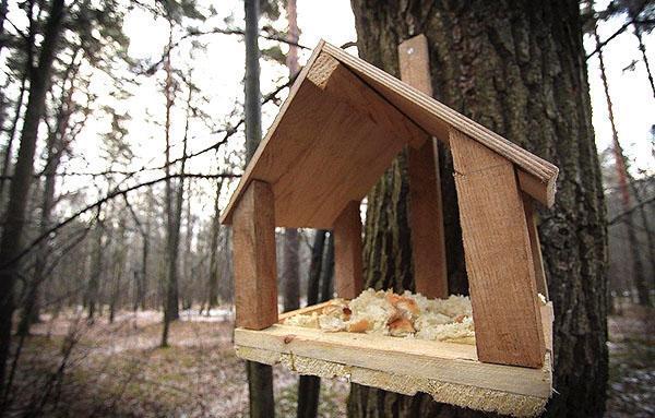 mangeoire à écureuil maison