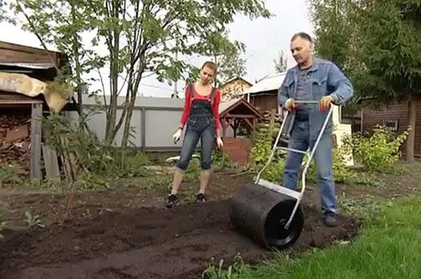 Compactage du sol avec un rouleau à gazon