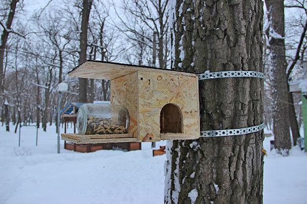 installer une mangeoire sur un arbre
