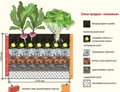 esquema