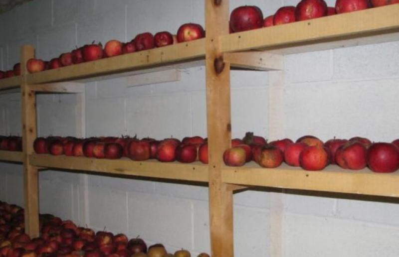 mantener manzanas en el estante