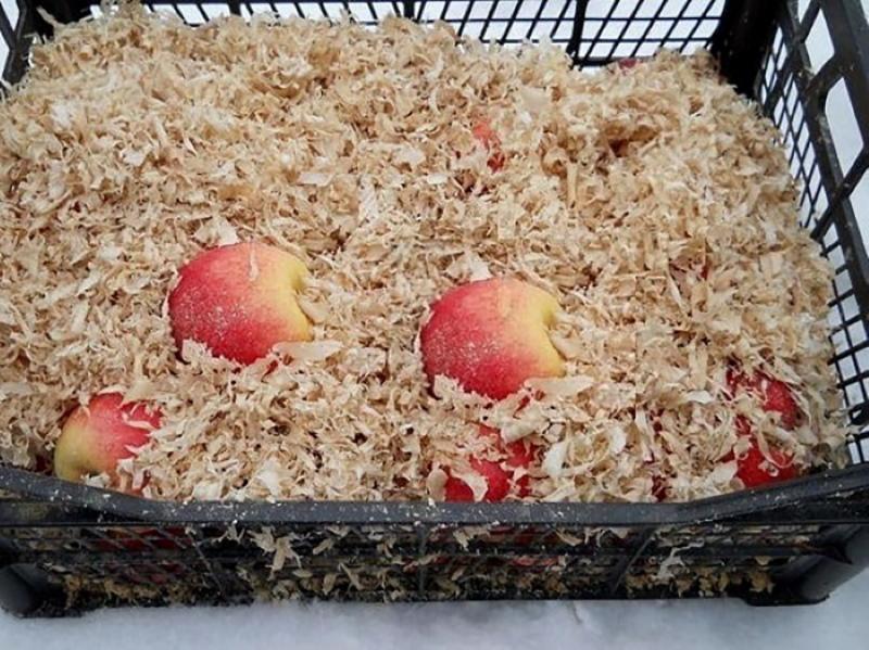 almacenar manzanas en una caja de aserrín