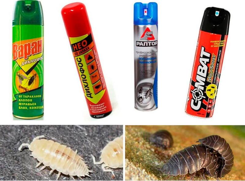 insecticides contre les cloportes