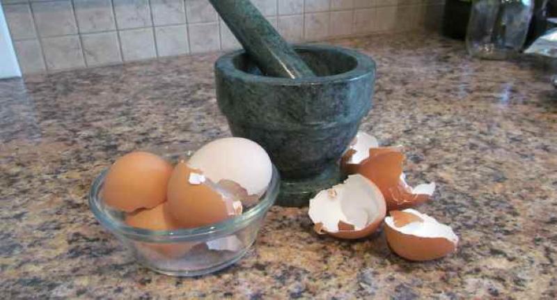 cómo tomar cáscaras de huevo