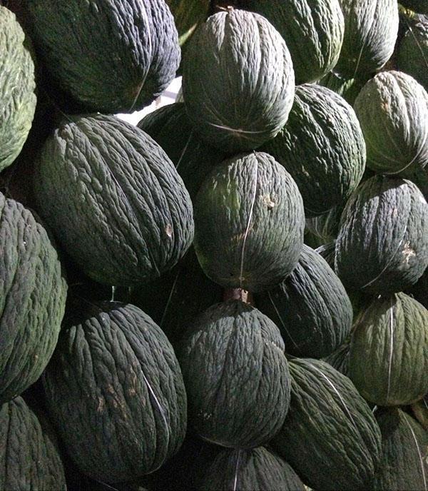 Frutas de los melones de Assan Bay en almacenamiento