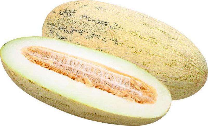 melón torpedo cutaway