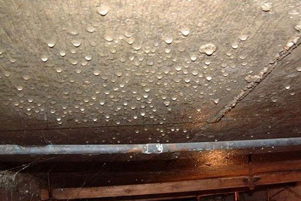 condensación en el sótano