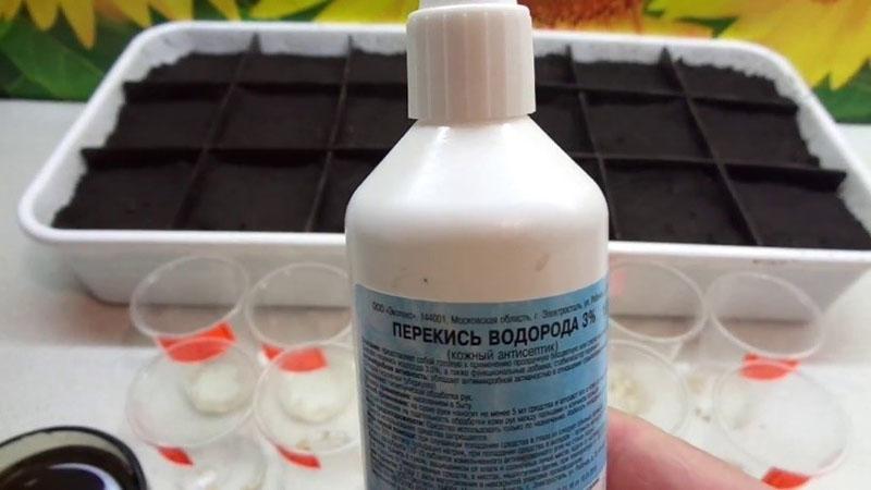 peroxyde pour planter du poivre