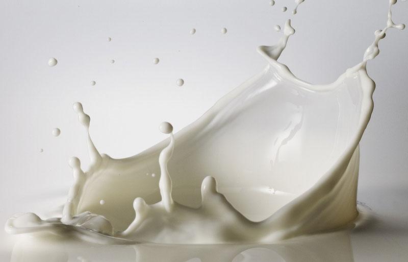 faire tremper les graines de poivre dans du lait avant de les planter