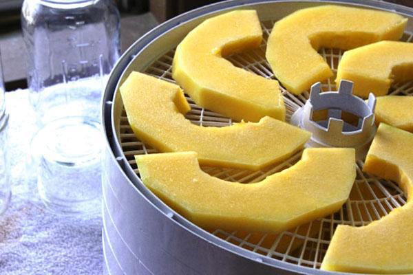 poner las rodajas de melón en la secadora