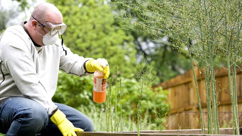 precauciones de seguridad al trabajar con fungicida