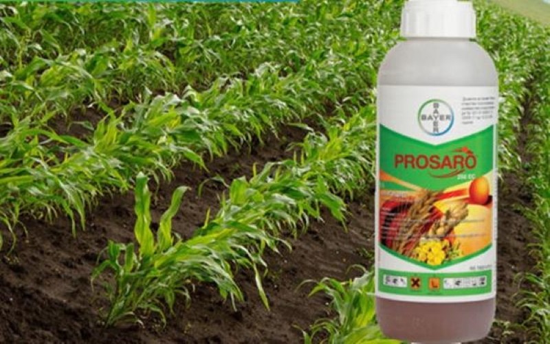composition et action du fongicide prozaro