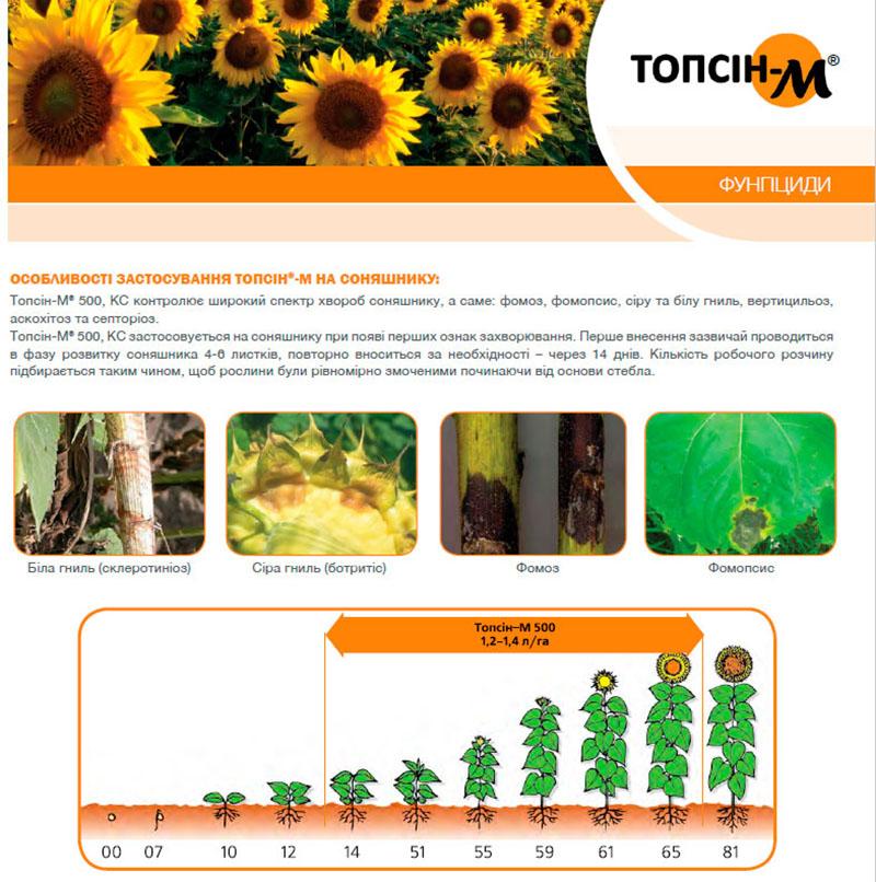 características de la aplicación en girasol