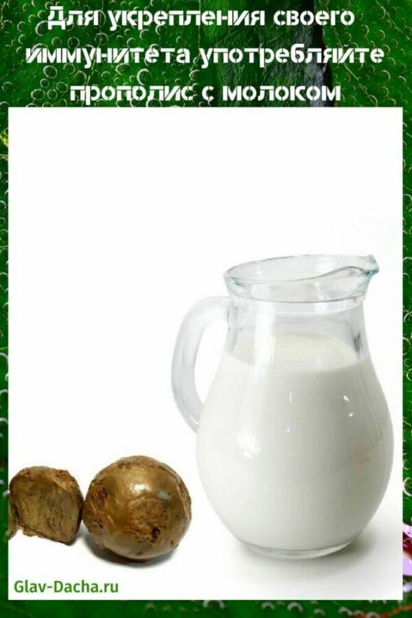propóleo con leche