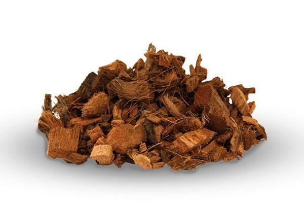 chips de coco