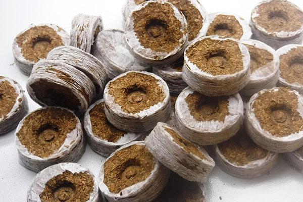 pastillas de coco