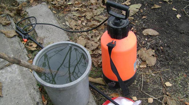 Ajoutez de l'eau