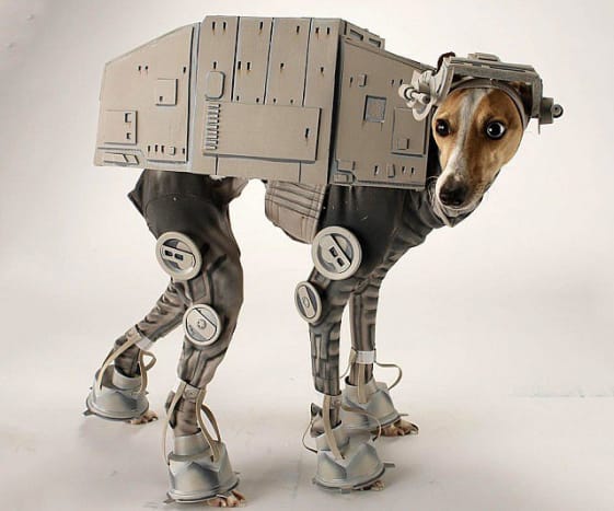 Foto: ThisIsWhyImBroke. Sogar Ihr Haustier kann mit diesem All Terrain Armored Transport (AT-AT) Kostüm in den Star Wars-Spaß einsteigen.