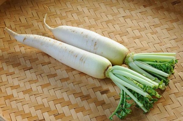 daikon de rábano