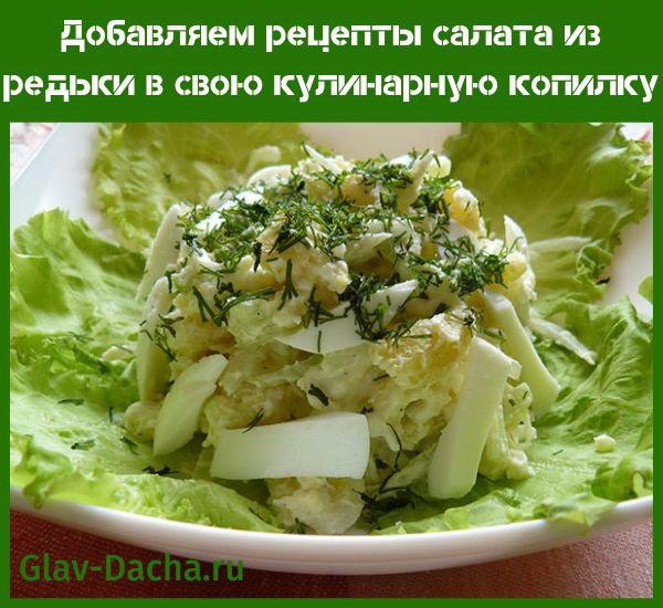 recetas de ensalada de rábano