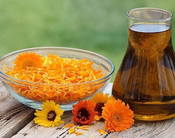 faire de l'huile de calendula à la maison