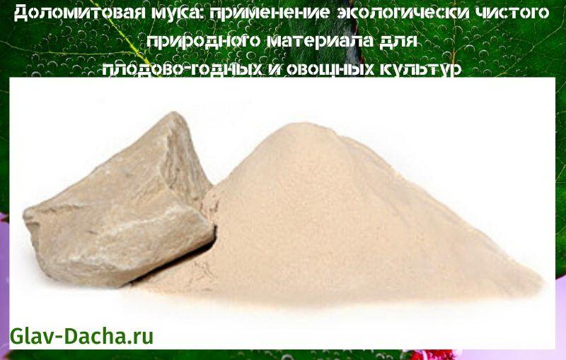 application de farine de dolomie