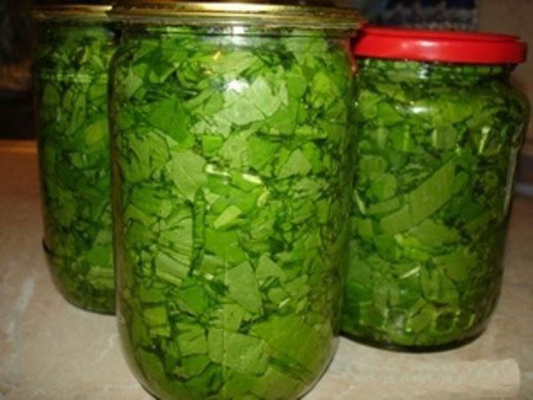 recette rapide d'ail sauvage mariné