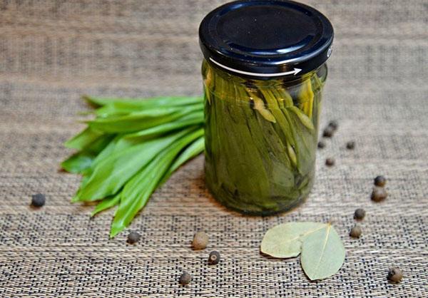 ajo silvestre con vinagre para el invierno