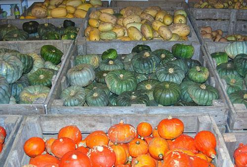 Almacenar diferentes variedades de calabaza.