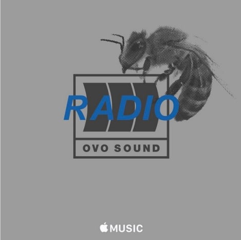 Foto: Drake/Instagram Drake také nedávno zveřejnil propagační fotografii pro OVO Sound Radio na svém účtu Instagram a na obrázku je včela podobná té v jeho novém rameni. Původně oznámený v říjnu 2016 byl projekt Drake’s More Life účtován jako mixtape, nikoli jako album. 